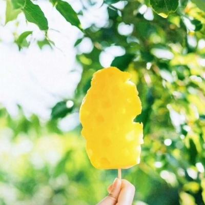 迷你小镇野外露营最新版下载
